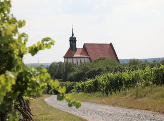 Serie "12 Wege" Fränkischer Marienweg_17050