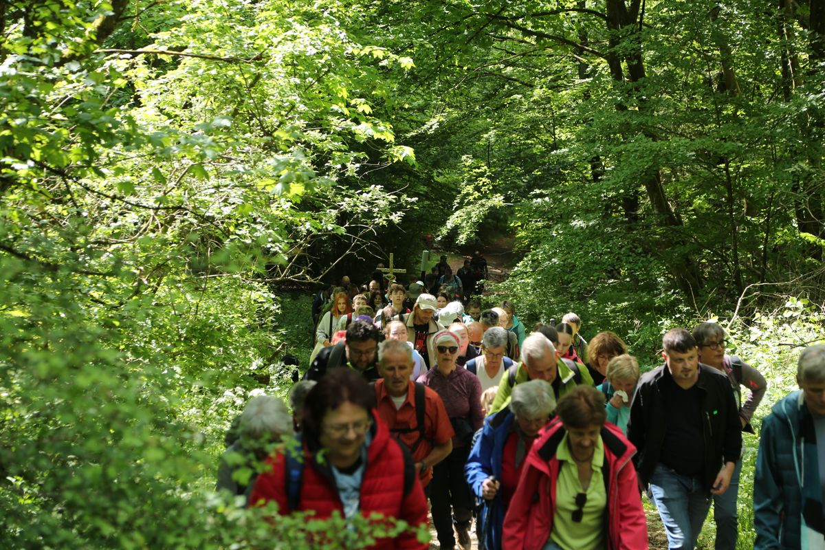 Fast 400 Gläubige haben an der Ökumenischen Kreuzbergwallfahrt mit Bischof Jung und Regionalbischöfin Bornowski teilgenommen.  Fast 400 Gläubige haben an der Ökumenischen Kreuzbergwallfahrt mit Bischof Jung und Regionalbischöfin Bornowski teilgenommen.