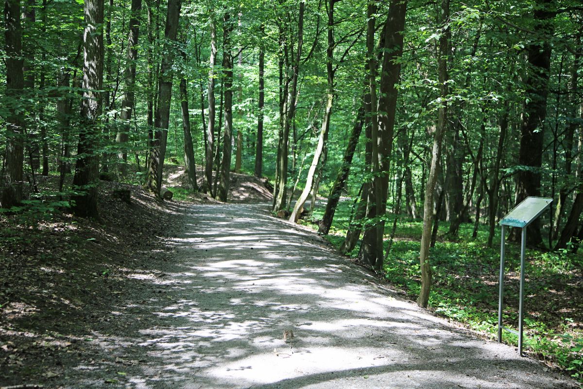 Der Weg ist auch für Familien mit Kinderwagen und Senioren gut geeignet.