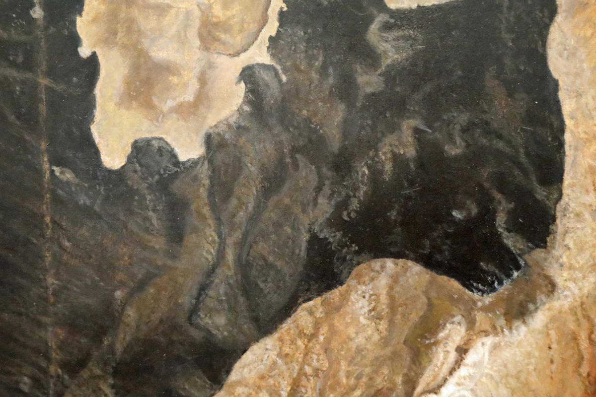 ... die Fotografin dagegen einen schwarzen Hundekopf.