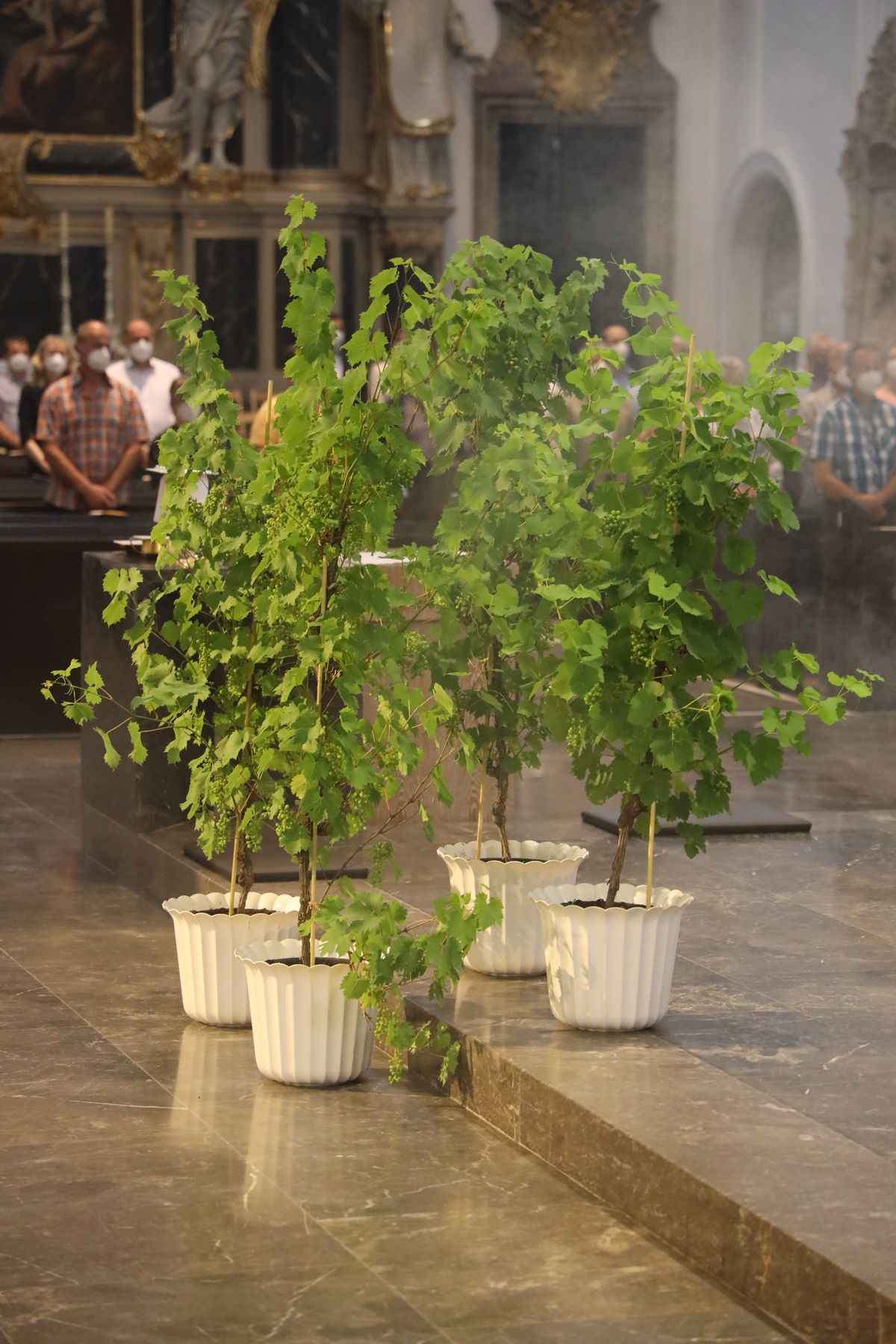 Bischof Dr. Franz Jung feierte am Mittwochabend, 23. Juni, einen Gottesdienst für Ehepaare, die 2021 oder 2021 auf 25 gemeinsame Jahre zurückblicken. Im Anschluss konnten sich die Paare segnen lassen.