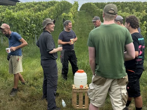 Bischof Dr. Franz Jung (2. von links) half am Dienstag, 3. September, in Escherndorf bei der Weinlese mit. 