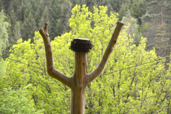 Besinnungsweg "Mehrblick" Fellen